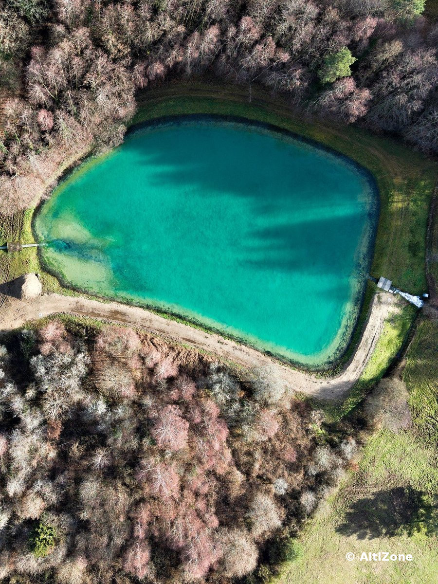 Vue verticale d’un plan d’eau entouré de végétation